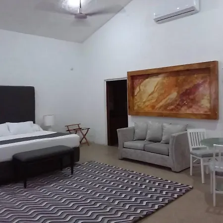 Junior Suite Privada 7 Min Del Aeropuerto-3